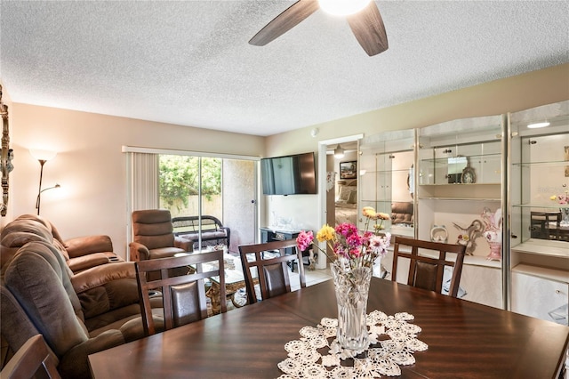 6424 Spring Flower Dr Unit 15, New Port Richey, FL 34653 - photo 16