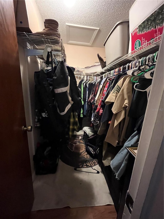 8122 Matthew Dr, New Port Richey, FL 34653 - spacious closet with attic access