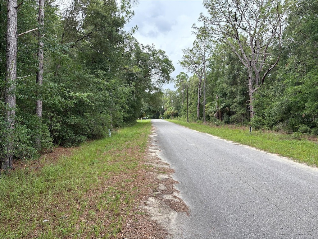 8646 N Discalfani Loop, Crystal River, FL 34428