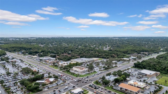 12401 Gunstock Ln, Hudson, FL 34667 - photo 41