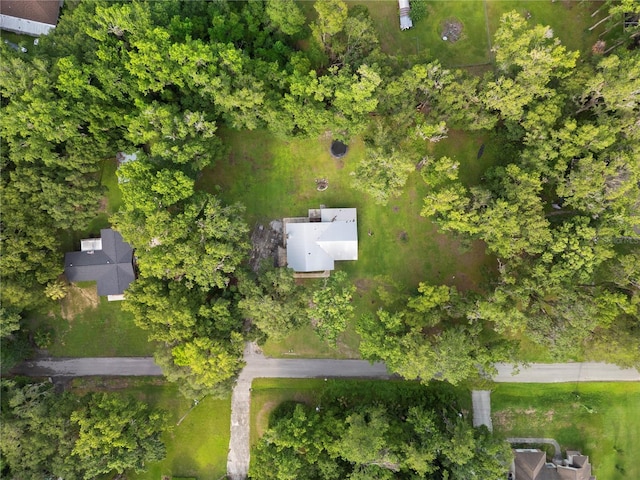 10420 Carlin Dr, Brooksville, FL 34601 - photo 5