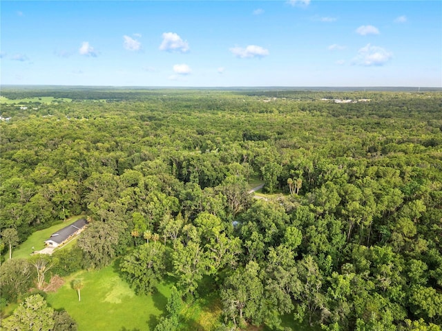 10420 Carlin Dr, Brooksville, FL 34601 - photo 6