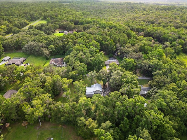 10420 Carlin Dr, Brooksville, FL 34601 - photo 7