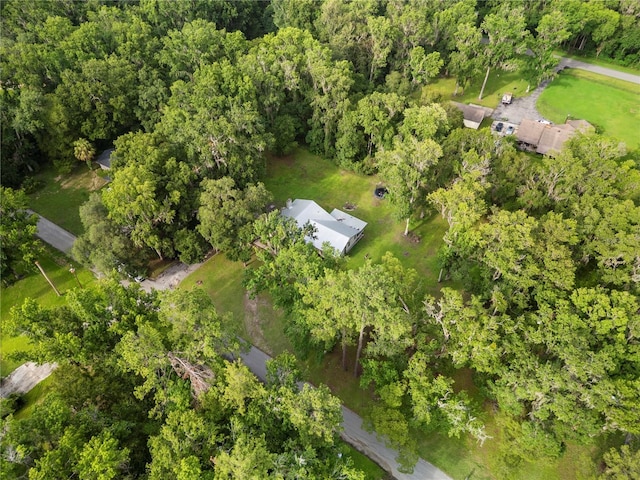 10420 Carlin Dr, Brooksville, FL 34601 - photo 8
