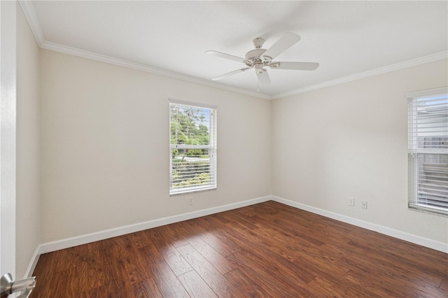 2827 Oak Tree Ln, Palm Harbor, FL 34684 - photo 25