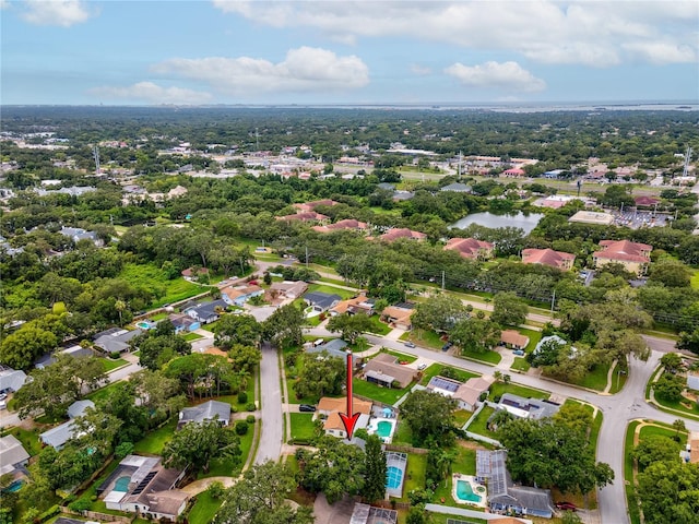 2827 Oak Tree Ln, Palm Harbor, FL 34684 - photo 45