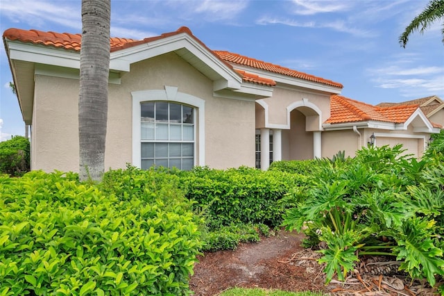 1733 Daylily Dr, Trinity, FL 34655 - photo 5