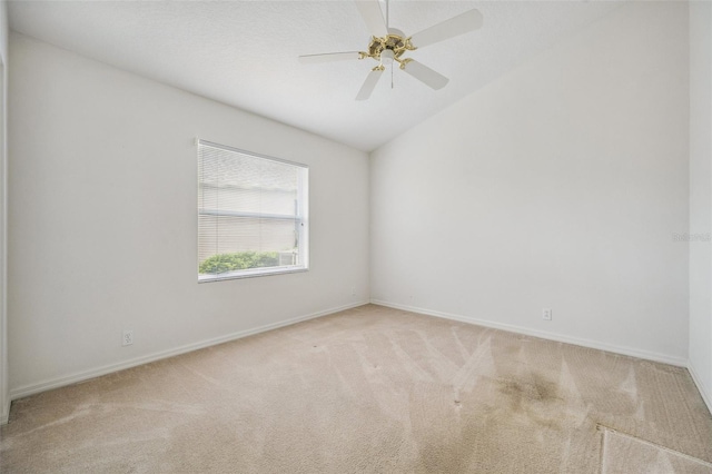 1733 Daylily Dr, Trinity, FL 34655 - photo 37