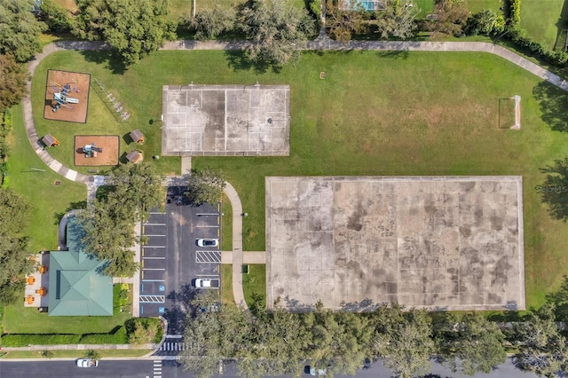1733 Daylily Dr, Trinity, FL 34655 - photo 60