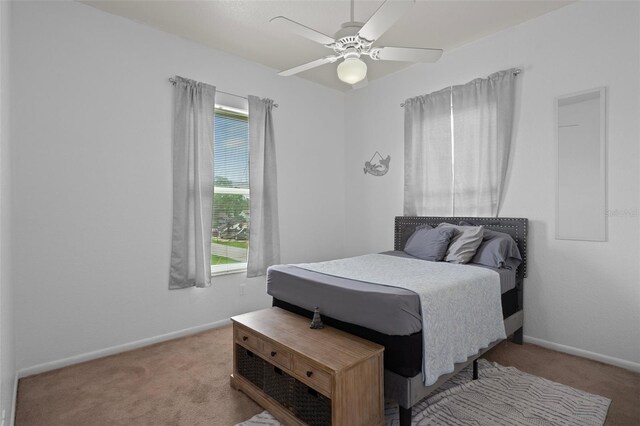 6245 Island Dr, Weeki Wachee, FL 34607 - photo 21