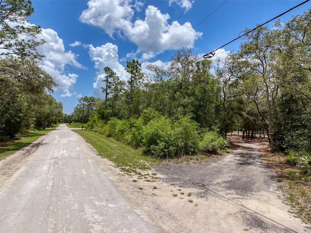 34335 Berryhill Dr, Webster, FL 33597 - photo 88