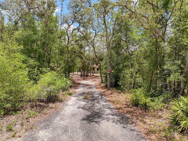 34335 Berryhill Dr, Webster, FL 33597 - photo 89