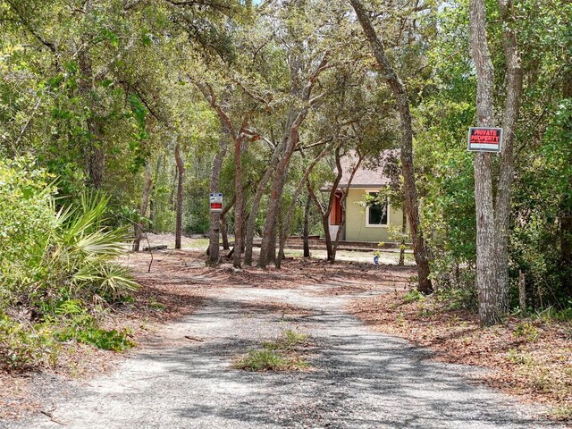 34335 Berryhill Dr, Webster, FL 33597 - photo 90