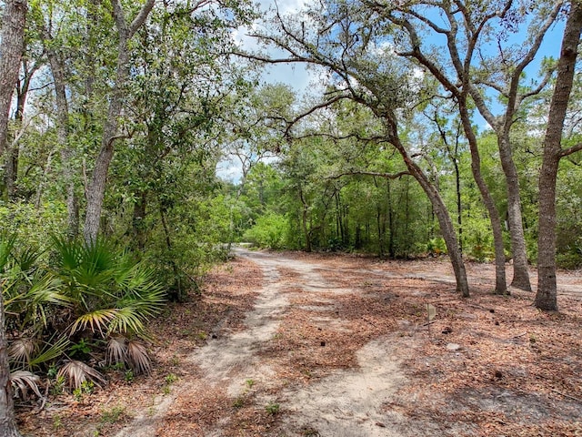 34335 Berryhill Dr, Webster, FL 33597 - photo 91