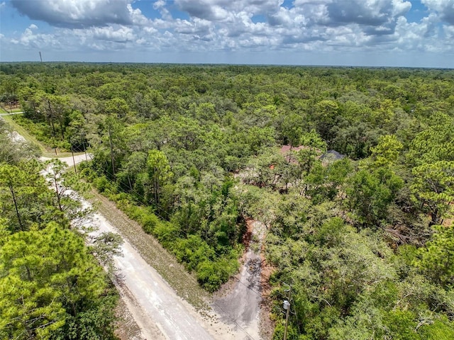 34335 Berryhill Dr, Webster, FL 33597 - photo 92