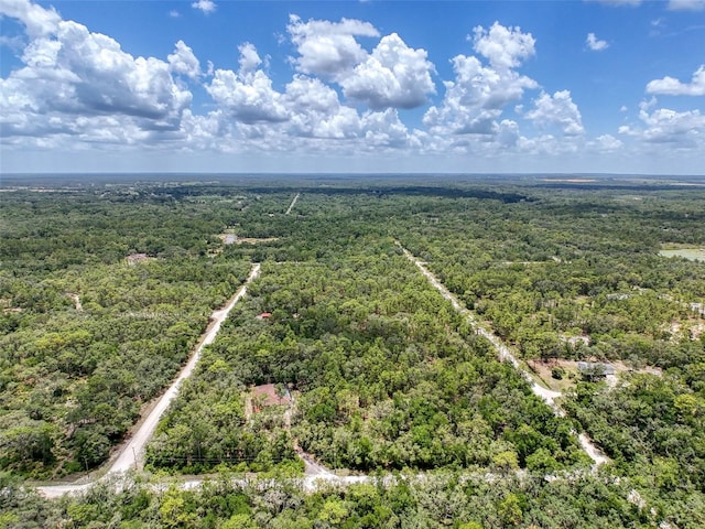 34335 Berryhill Dr, Webster, FL 33597 - photo 93