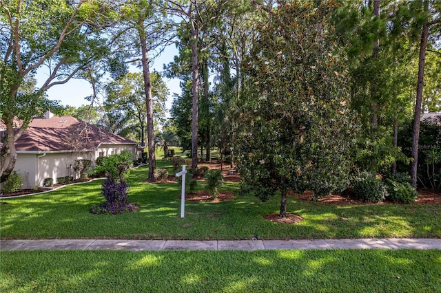 5301 Legend Hills Ln, Spring Hill, FL 34609 - view of grassy yard