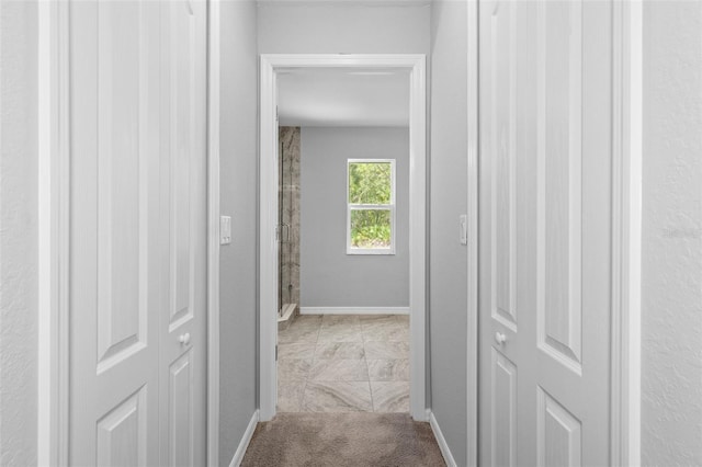 16412 Mellon Rd, Weeki Wachee, FL 34614 - photo 16