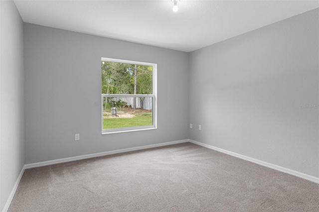 12128 Petrel Ave, Weeki Wachee, FL 34614 - photo 28