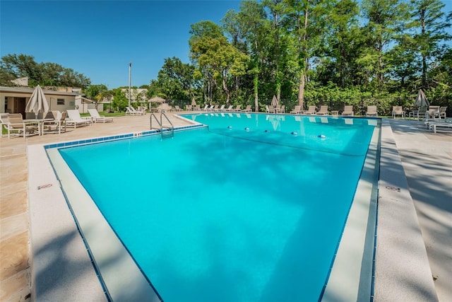 2628 Barksdale Ct Unit B, Clearwater, FL 33761 - photo 45