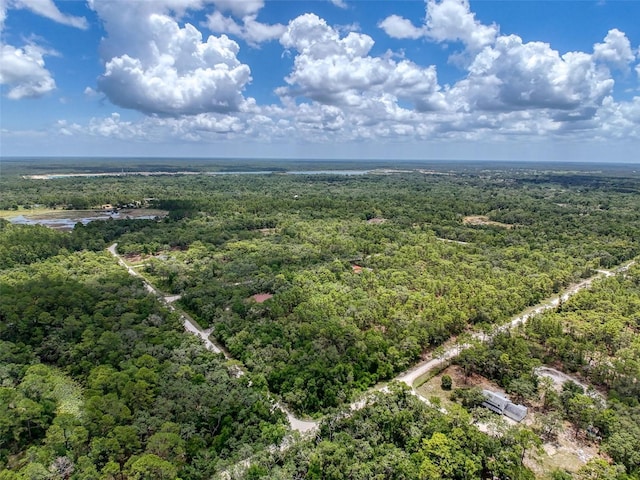 7118 Norway St, Webster, FL 33597 - photo 1