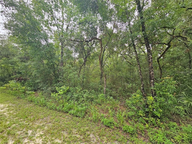 7118 Norway St, Webster, FL 33597 - photo 2