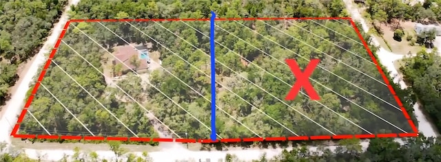 7118 Norway St, Webster, FL 33597 - photo 11