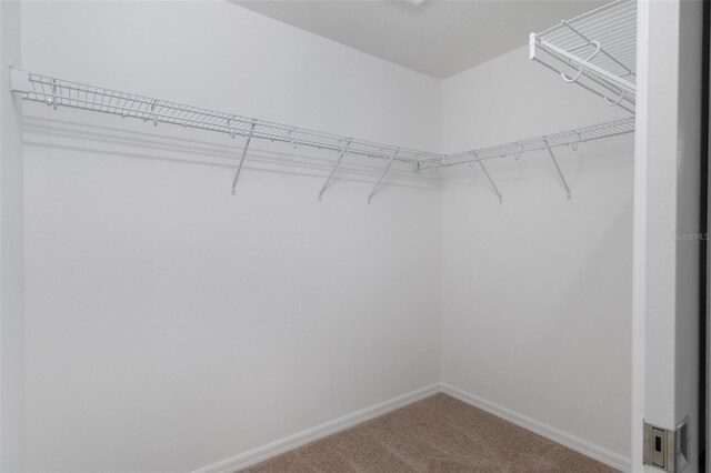 11141 Jenny Wren Rd, Weeki Wachee, FL 34614 - photo 27