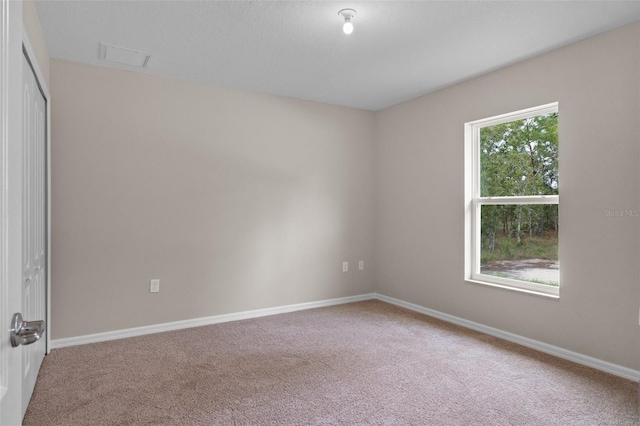11141 Jenny Wren Rd, Weeki Wachee, FL 34614 - photo 34