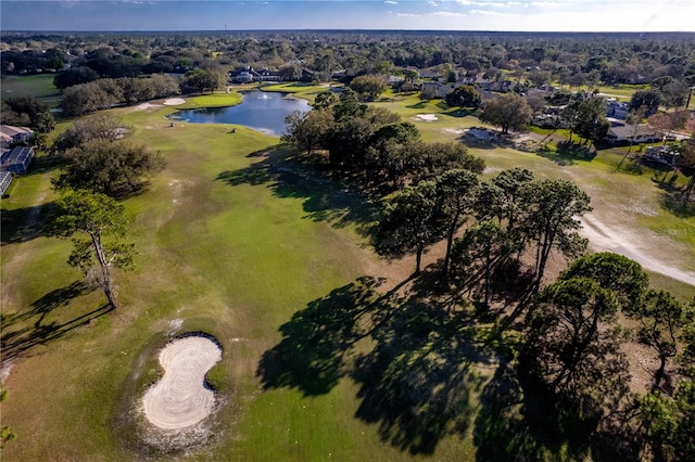 5021 Championship Cup Ln, Spring Hill, FL 34609 - photo 46