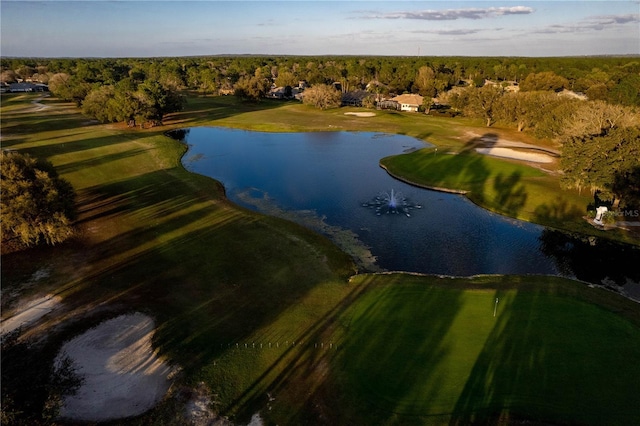 5021 Championship Cup Ln, Spring Hill, FL 34609 - photo 83