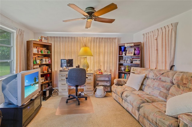 4431 Beacon Square Dr, Holiday, FL 34691 - photo 27