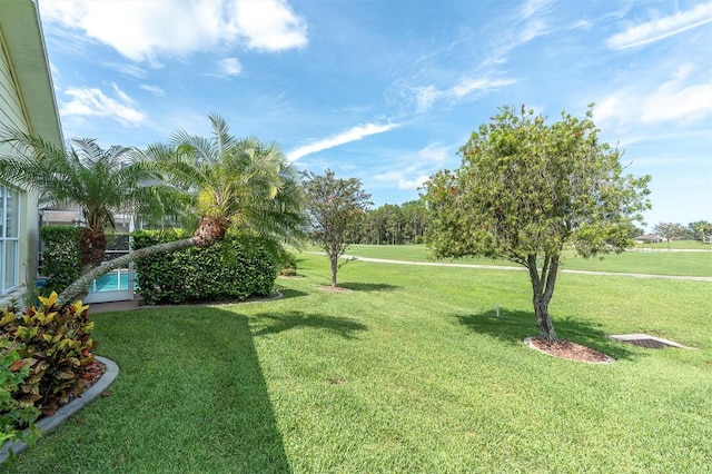 1610 Winding Willow Dr, Trinity, FL 34655 - view of green lawn