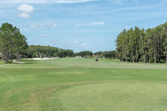 1610 Winding Willow Dr, Trinity, FL 34655 - view of property's community featuring view of golf course, a yard, and view of wooded area