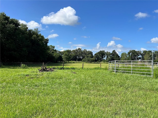 15353 S 475, Summerfield, FL 34491 - photo 6