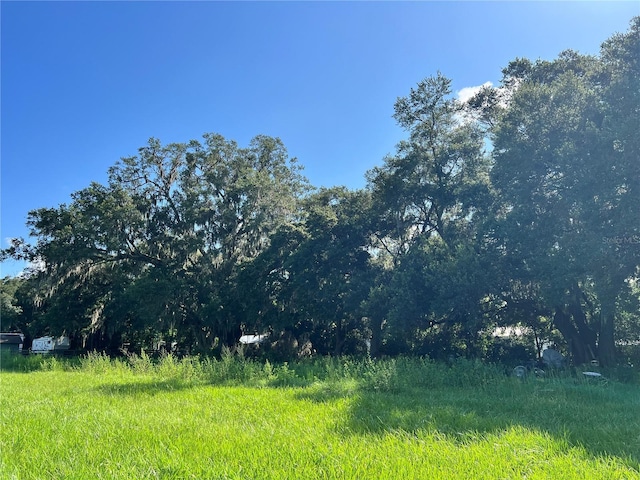 15353 S 475, Summerfield, FL 34491 - photo 33