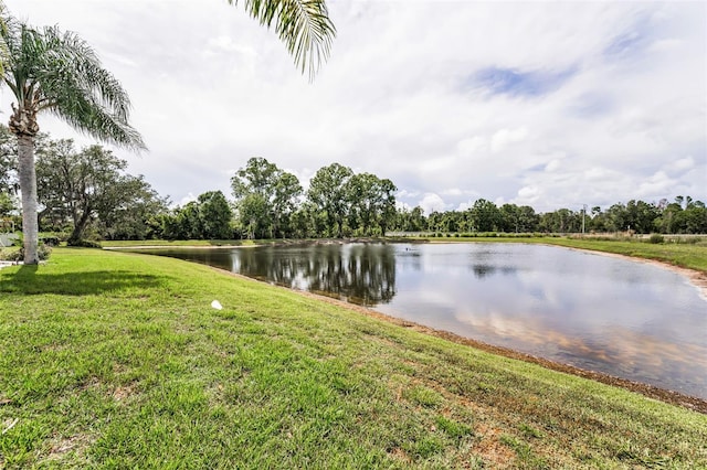 12519 Roseland Dr, New Port Richey, FL 34654 - photo 56