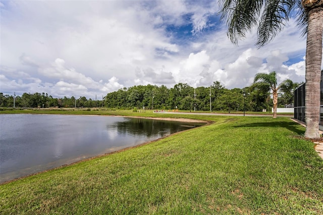12519 Roseland Dr, New Port Richey, FL 34654 - photo 61