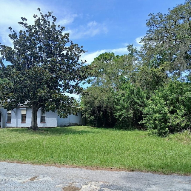 Lyle Cir, Hudson, FL 34667 - photo 5