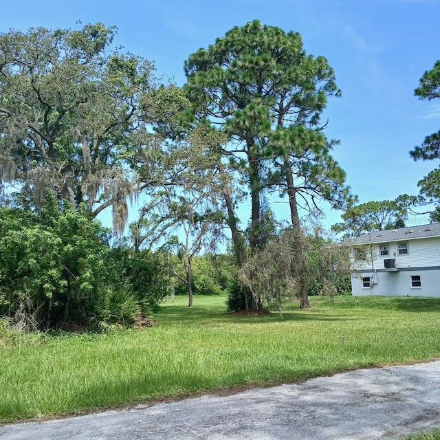 Lyle Cir, Hudson, FL 34667 - photo 6