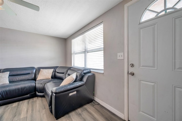 5533 Riddle Rd, Holiday, FL 34690 - photo 10