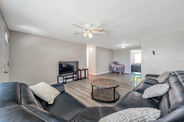 5533 Riddle Rd, Holiday, FL 34690 - photo 13