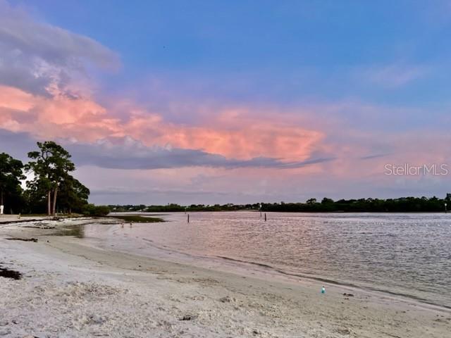 5533 Riddle Rd, Holiday, FL 34690 - photo 74