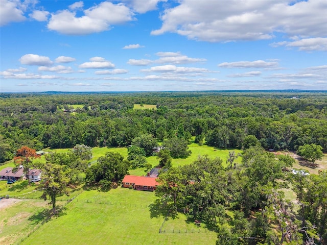 20480 Lake Lindsey Rd, Brooksville, FL 34601 - photo 47