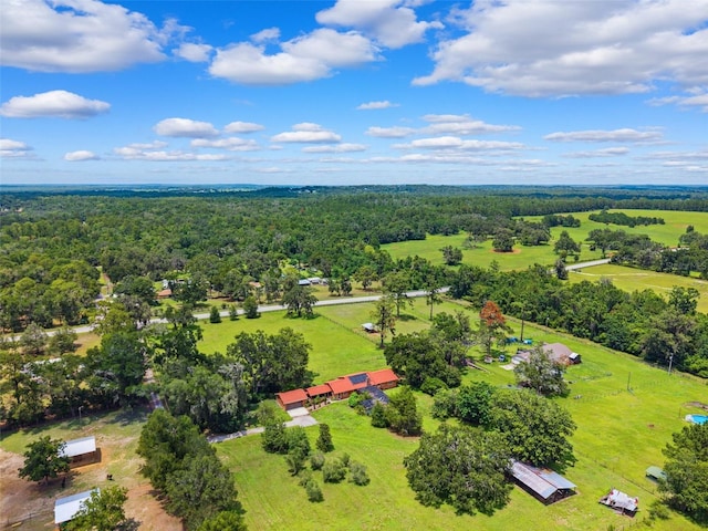 20480 Lake Lindsey Rd, Brooksville, FL 34601 - photo 51