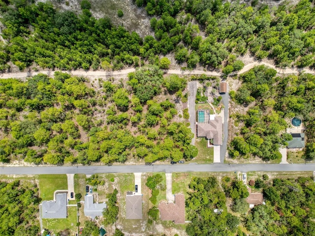 18328 Maberly Rd, Weeki Wachee, FL 34614 - photo 90