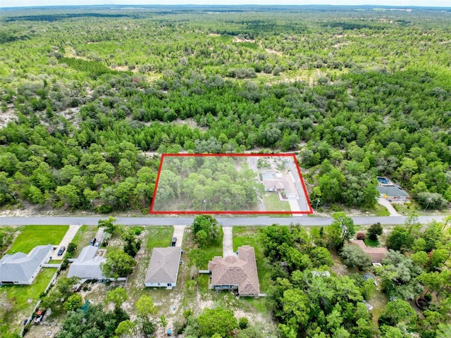 18328 Maberly Rd, Weeki Wachee, FL 34614 - photo 91