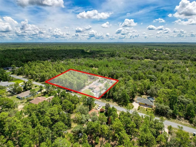 18328 Maberly Rd, Weeki Wachee, FL 34614 - photo 92