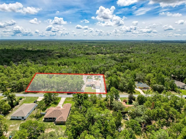 18328 Maberly Rd, Weeki Wachee, FL 34614 - photo 93