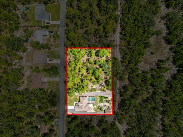 18328 Maberly Rd, Weeki Wachee, FL 34614 - photo 95